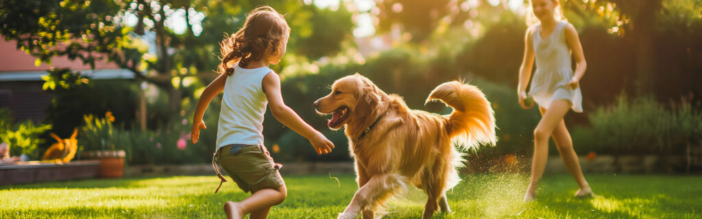 Animaux de compagnie proposée par Dedale Assurances